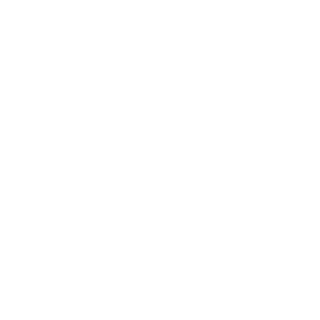 Web Language Switch